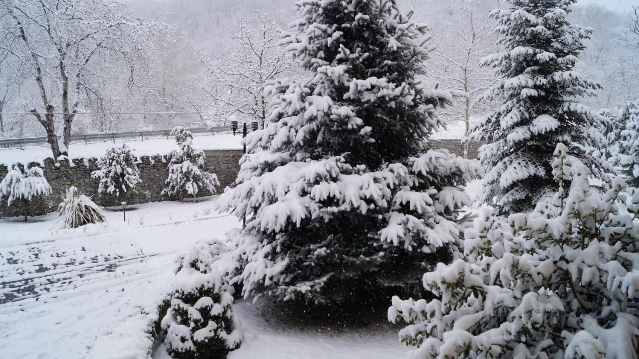 Gabala Yeddi Gozel Hotel Экстерьер фото